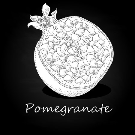 Pomegranate hand drown vector illustration isolated on black background. Monochrome.のイラスト素材