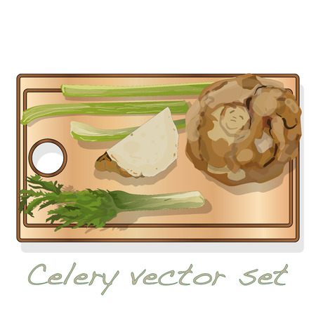 Celery illustration set on white backgrond. Vector image.のイラスト素材