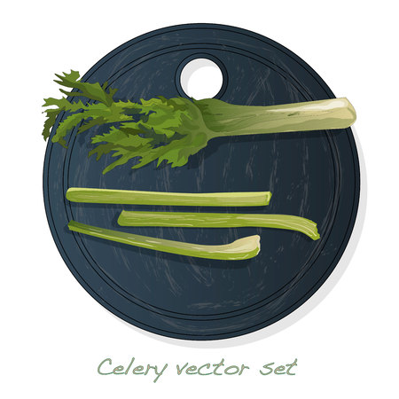 Celery illustration set on white backgrond. Vector image.のイラスト素材