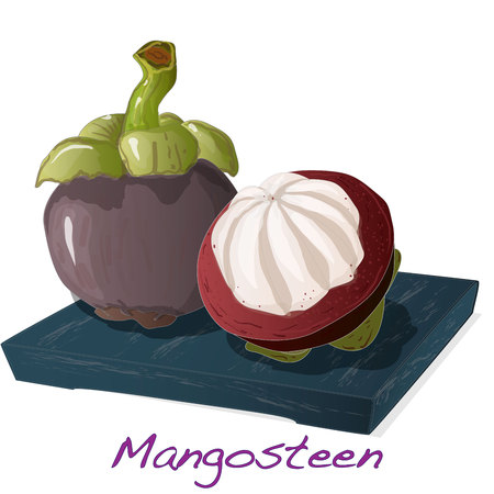 Ripe mangosteen isolated on the plate. Compositioin on white background. Vector illustration.のイラスト素材