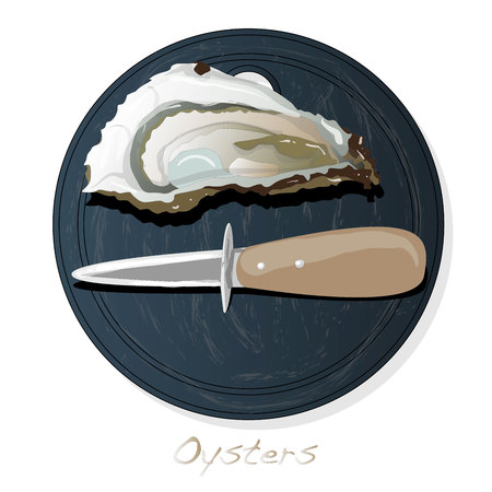 Fresh opened oyster vectorv images set on plate / dish isolated on white background.のイラスト素材