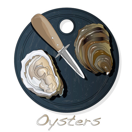 Fresh opened oyster vectorv images set on plate / dish isolated on white background.のイラスト素材