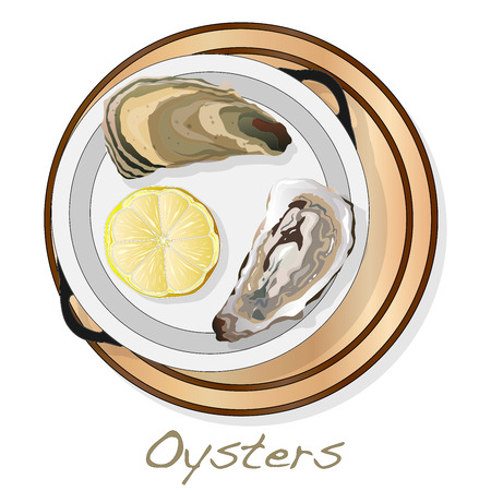 Fresh opened oyster vectorv images set on plate / dish isolated on white background.のイラスト素材