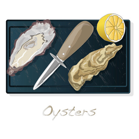 Fresh opened oyster vectorv images set on plate / dish isolated on white background.のイラスト素材