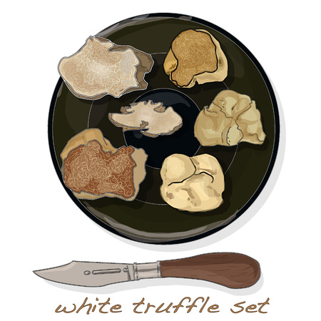 White truffle illustration set on dish isolated white background.のイラスト素材