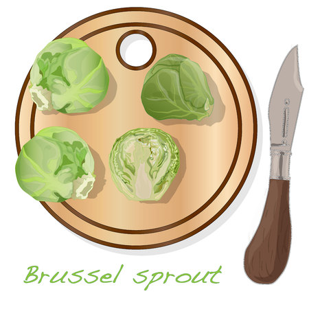 A pile of Brussels sprouts on the dish vector illustration. White background.のイラスト素材