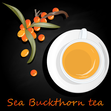 Cup of sea buckthorn tea. Branch of sea buckthorn berries with leaves. Vector illustration set on dark background.のイラスト素材