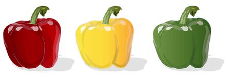Tasty ripe bell peppers on white background. Vector illustration, separate layers per item.のイラスト素材