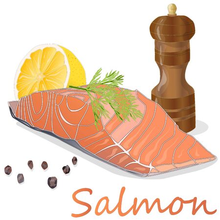 Raw salmon fillets with herbs on white background. Vector illustration.のイラスト素材
