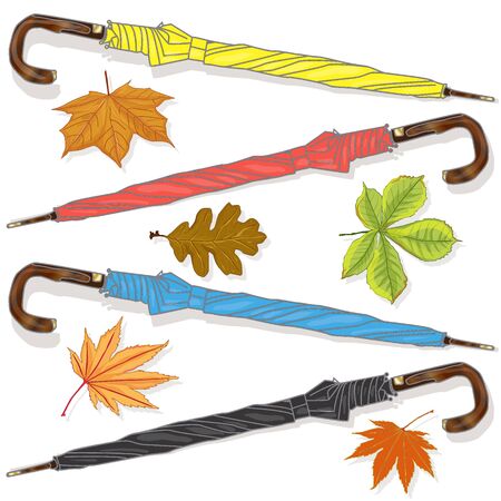 Umbrella for rain. Collection of colorful dried leaves. Autumn, fall concept.Vector Illustration. のイラスト素材