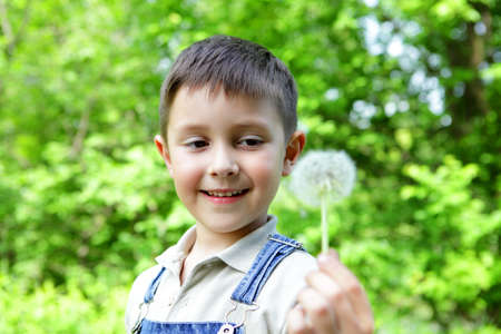 The boy with a dandelion on a green backgraundの写真素材