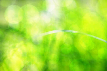 Blurred grass abstract background plus bokeh effect, universal useの写真素材