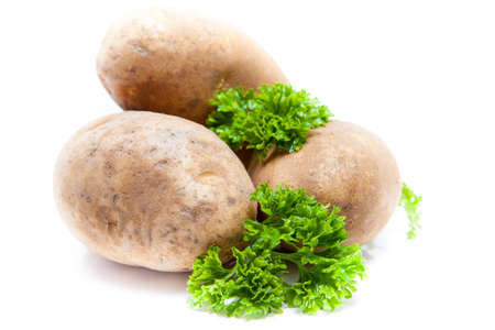 potato isolated on white background close upの写真素材