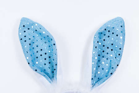 blue Bunny Ears in white background for boysの写真素材