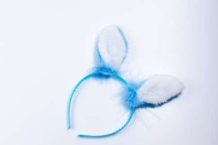 blue Bunny Ears in white background for boysの写真素材