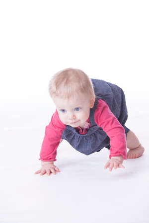baby girl crawling on white backgroundの写真素材