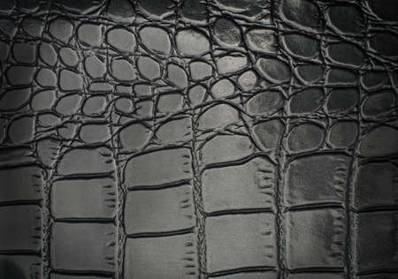 Material with texture of a reptile leather / black texture griddedの写真素材