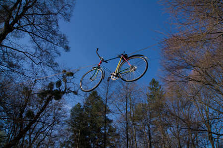 Red bicycle on green grass under Big treeの写真素材