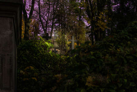 Halloween art design background. Foggy Graveyard at night. Old Spooky cemetery in moonlight through the treesの写真素材