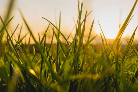 Colorful autumn landscape.Nature background beauty, environment, fog, botany blue boatの写真素材