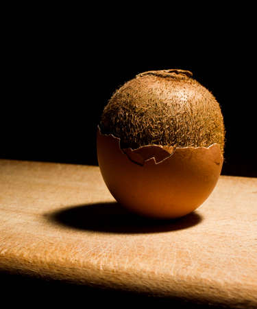 Egg Kiwi calorie, chicken, concept, cracked, delicious