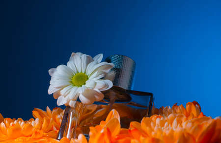 parfume, cream, fresh water movement cosmetic bubbles splashの写真素材