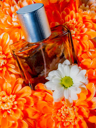 parfume, cream, fresh water movement cosmetic bubbles splashの写真素材