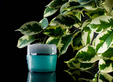 cream with fresh flowers, cosmetic, waterの写真素材