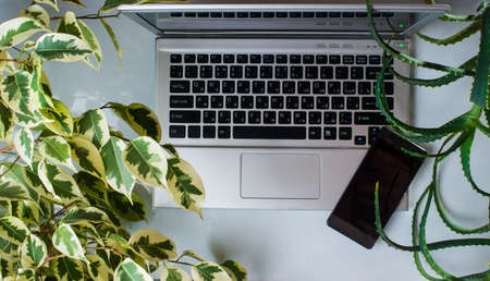 Modern white office desk table with laptop, other supplies with cup of coffee. treeの写真素材