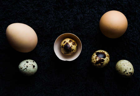 Easter Eggs celebration, color, decorative, design, group, holiday, objects, colorful
