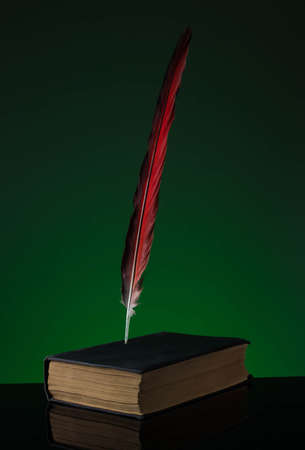 Feather pen with inkwell and old book on wooden table closeupの写真素材