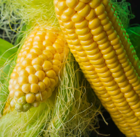 Fresh corn on cobs on rustic wooden table, closeup