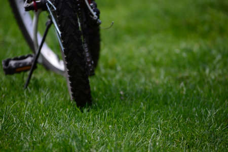 Bike on a grass