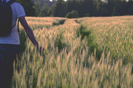 Man with backpack in wheat fieldの写真素材