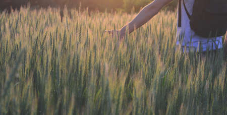 Man with backpack in wheat fieldの写真素材