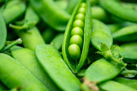 Green peas on a wooden tableの写真素材