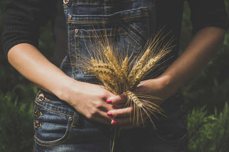 Woman farmer holding an ear of wheatの写真素材