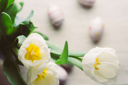 White tulips and Easter eggs on white wooden background. The concept of Easter or springの写真素材