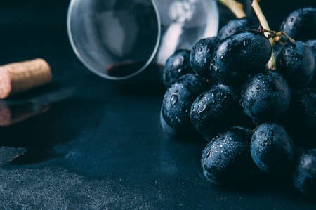 Grapes and red wine on dark backgroundの写真素材