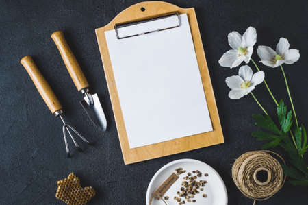 Flowers and seeds on a dark concrete background. Concept of a house farmの写真素材