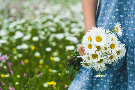 The girl in a blue dress holds a bouquet of white daisies in handの写真素材