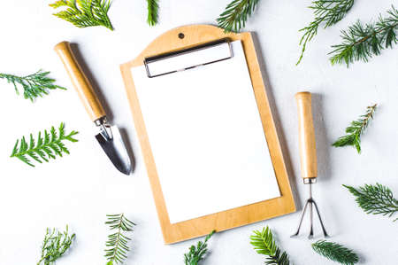 Branches of coniferous plants on a white concrete background. Concept of nursery or landscapingの写真素材