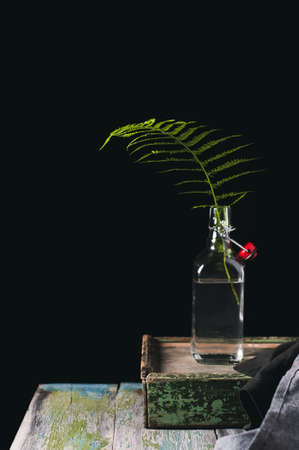 Leaf of a fern in a bottle with water. A still life on a black backgroundの写真素材