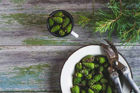 Fresh, green pine cones in a white metal plate on an old wooden tableの写真素材