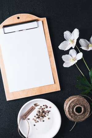 Flowers and seeds on a dark concrete background. Concept of a house farm