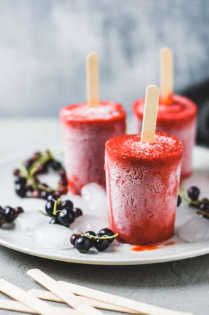 Home made ice cream of black currants and fresh berries