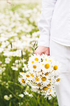 The woman in white clothes with a bouquet in her hand in the field of camomilesの写真素材