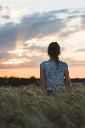 The girl in the wheat field looks at a sunsetの写真素材