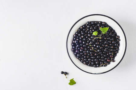 Black currant in a white metal plate over white concrete backgroundの写真素材