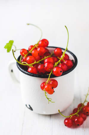 Red currant in a white metal Cup over white wooden backgroundの写真素材